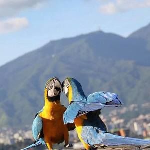 Meet your Posher, Rita carolina